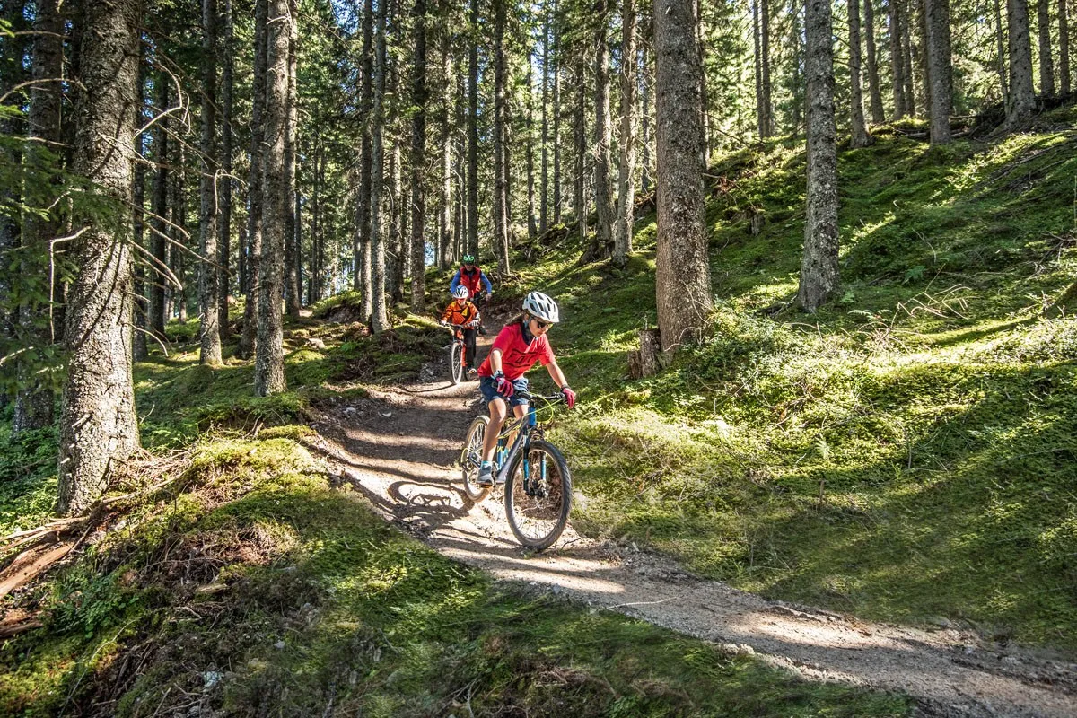 Zwei Mountainbiker auf einem Waldweg